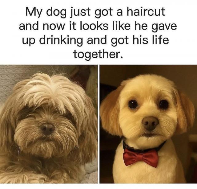[Linked Image]
