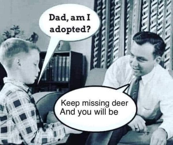 [Linked Image]