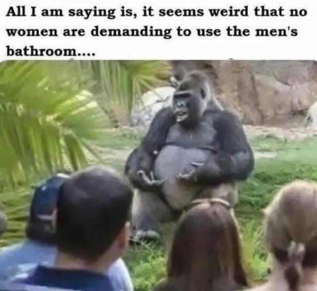[Linked Image]