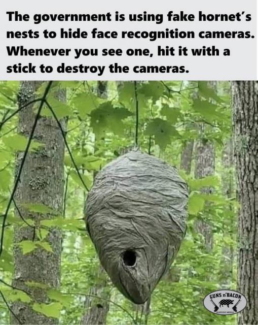 [Linked Image]