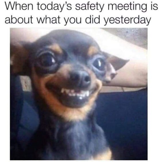 [Linked Image]