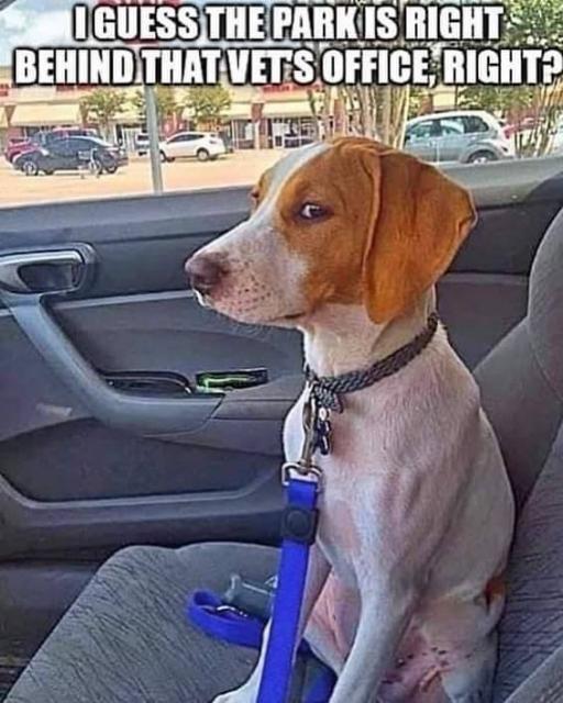 [Linked Image]