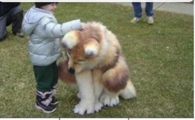[Linked Image]