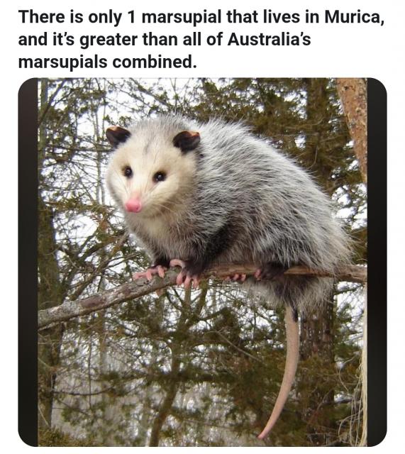 [Linked Image]