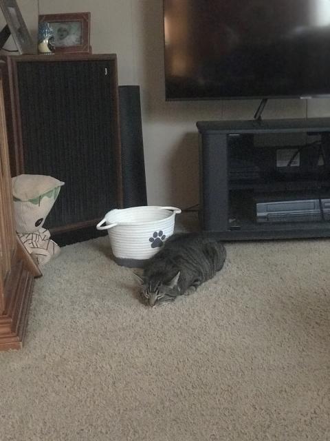 [Linked Image]