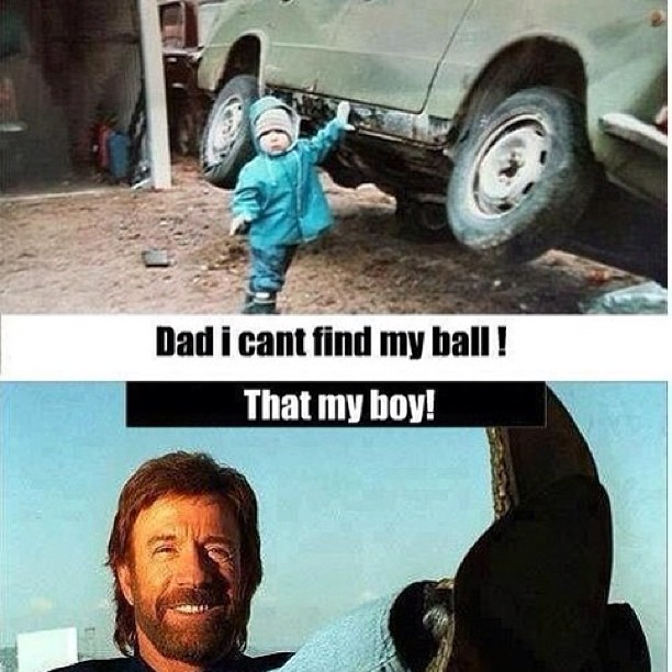 [Linked Image]