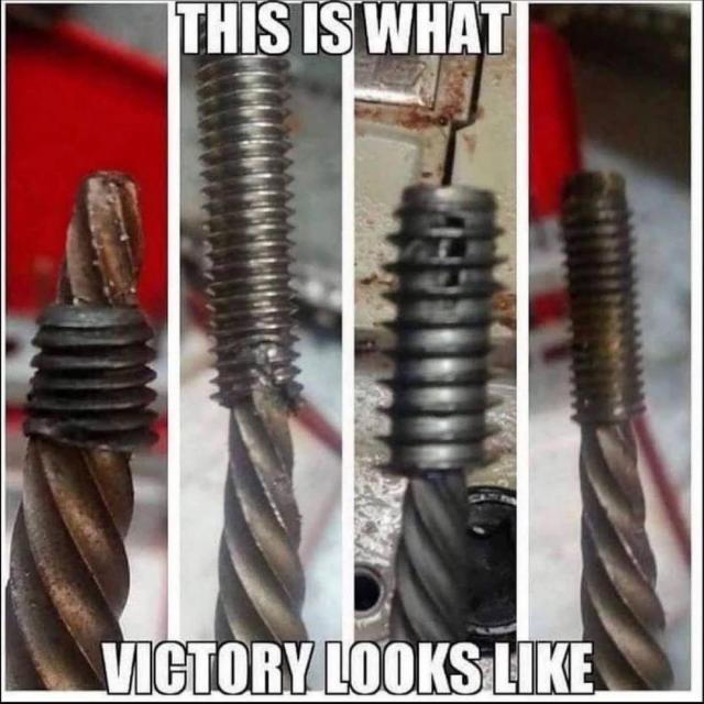 [Linked Image]