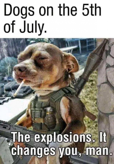 [Linked Image]