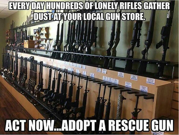 [Linked Image]