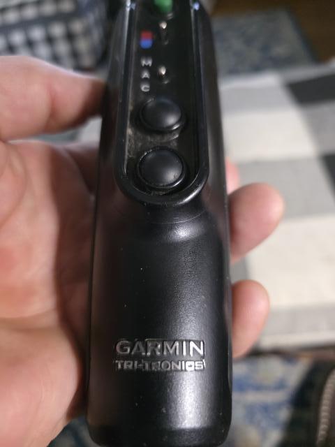 [Linked Image]