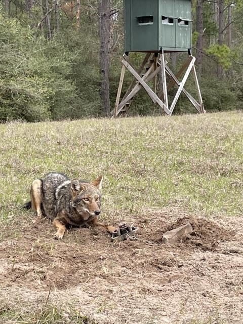 [Linked Image]