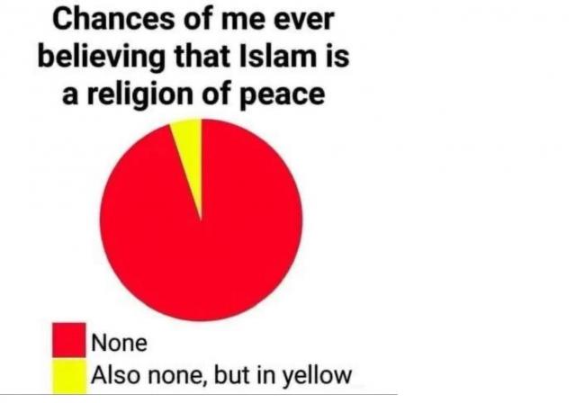 [Linked Image]