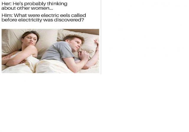[Linked Image]