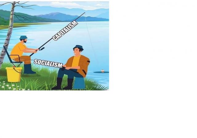 [Linked Image]