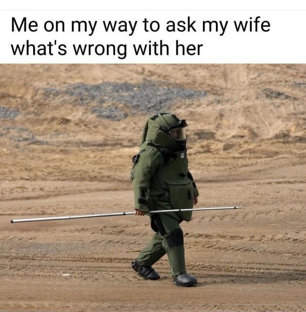 [Linked Image]