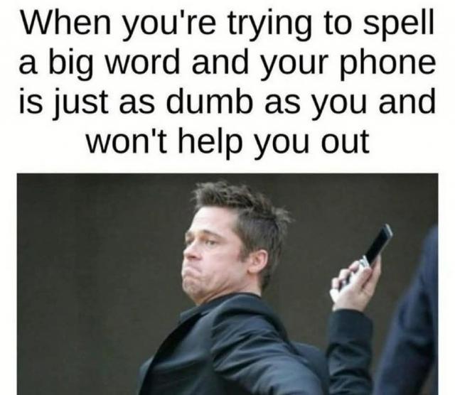 [Linked Image]