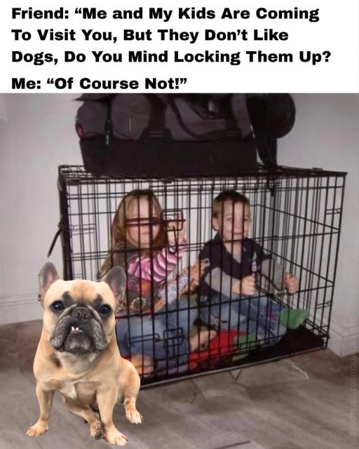 [Linked Image]