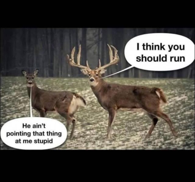 [Linked Image]