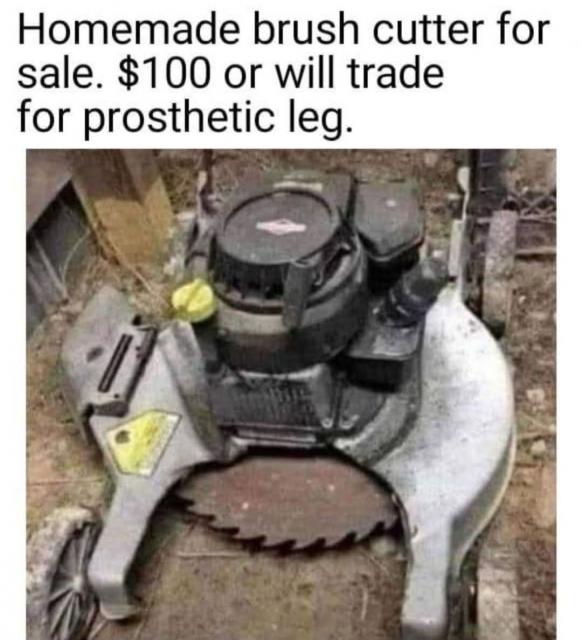 [Linked Image]