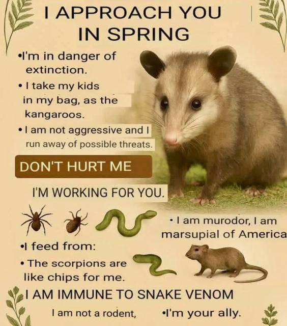 [Linked Image]