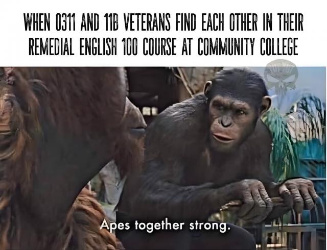 [Linked Image]