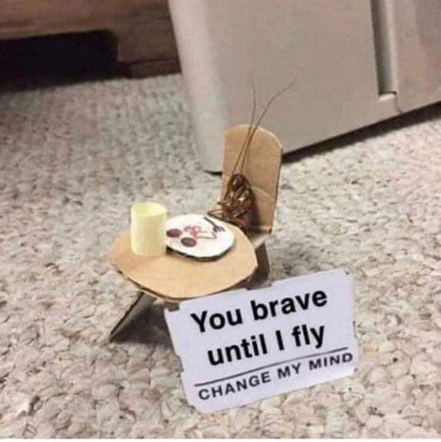[Linked Image]