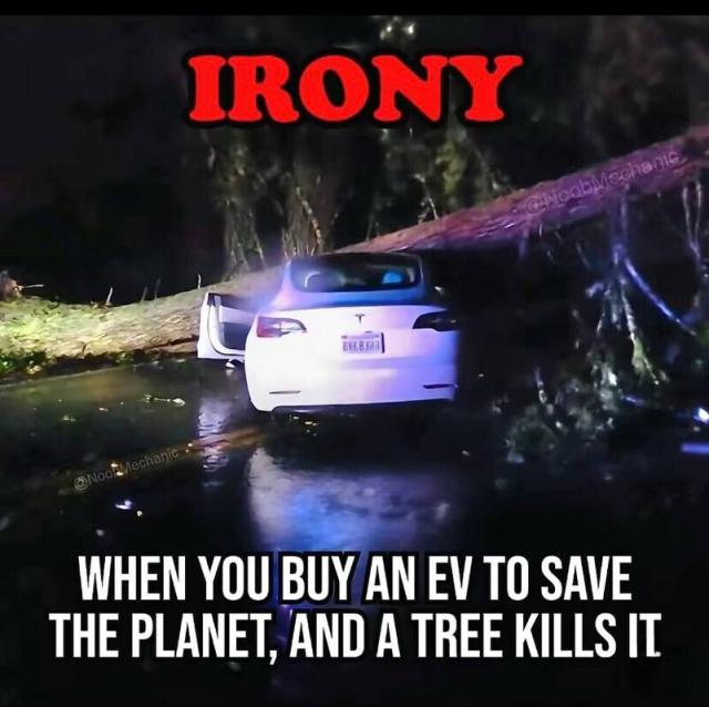 [Linked Image]