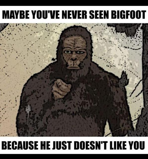 [Linked Image]