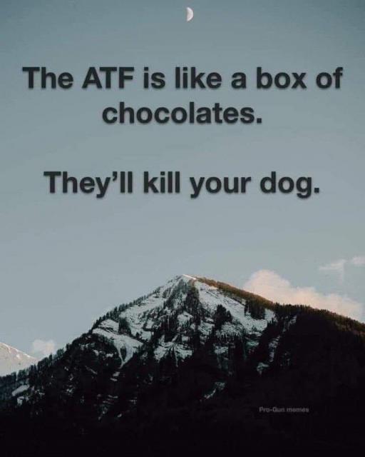 [Linked Image]