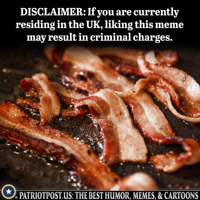 [Linked Image]