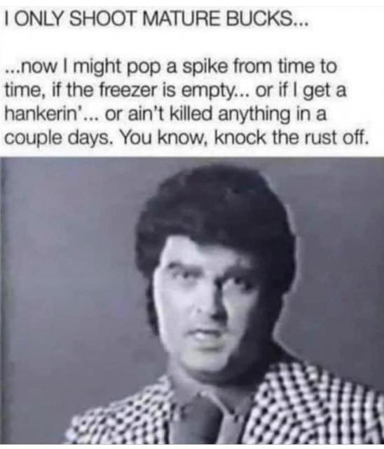 [Linked Image]