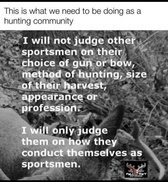 [Linked Image]