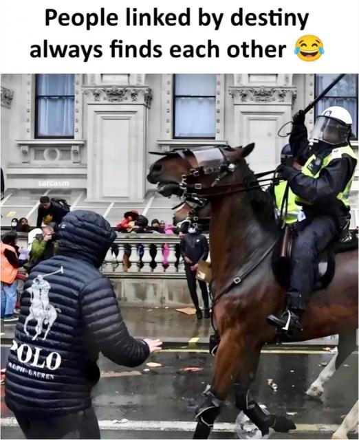 [Linked Image]