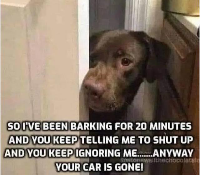 [Linked Image]