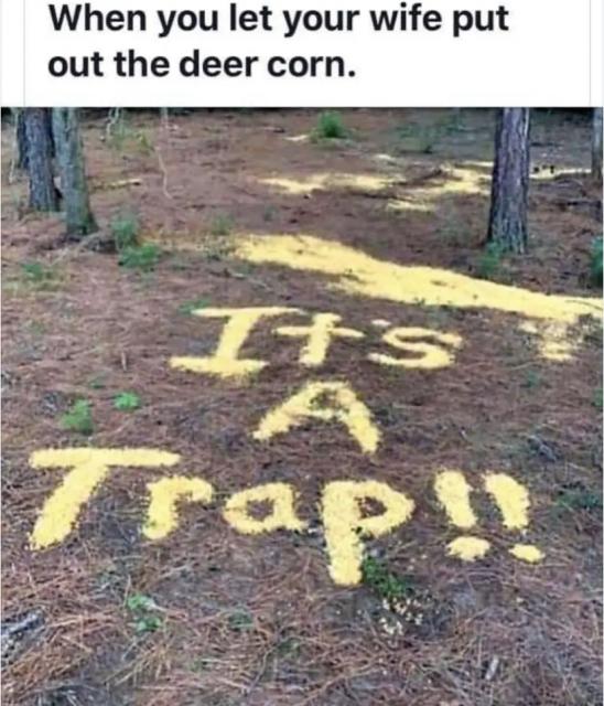 [Linked Image]