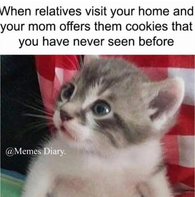 [Linked Image]