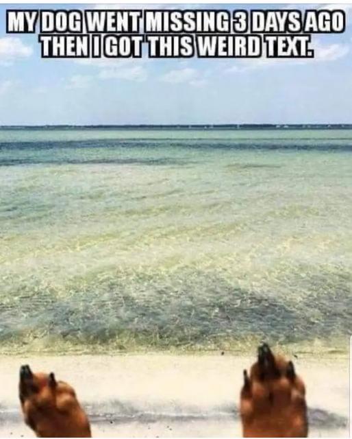 [Linked Image]
