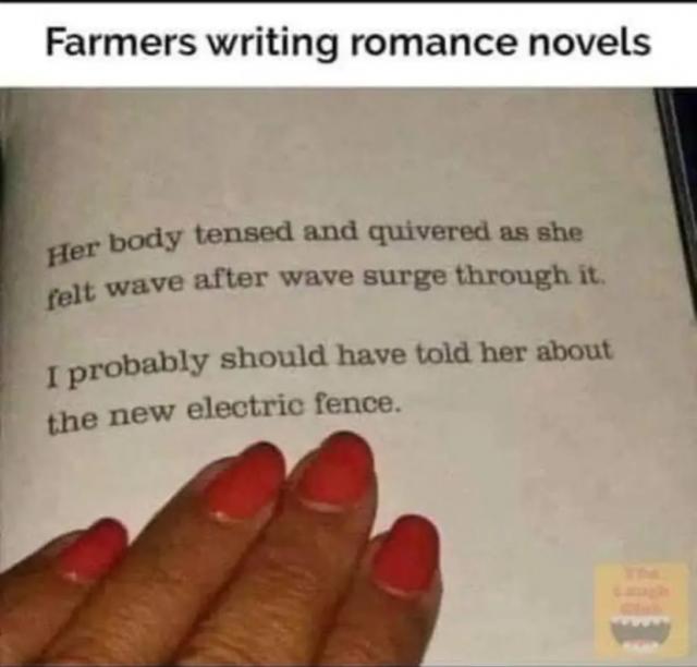 [Linked Image]