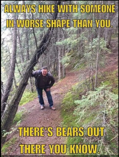 [Linked Image]