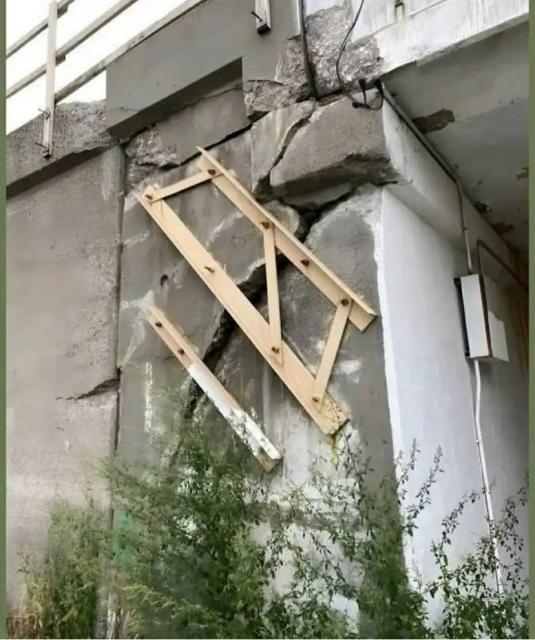 [Linked Image]