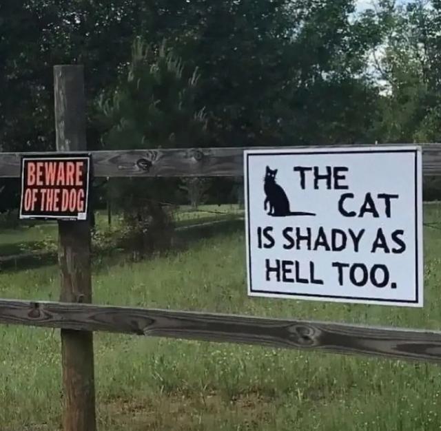 [Linked Image]