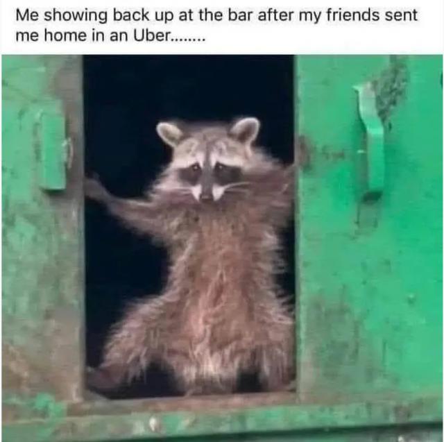 [Linked Image]