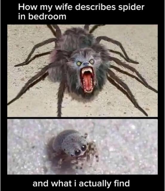 [Linked Image]