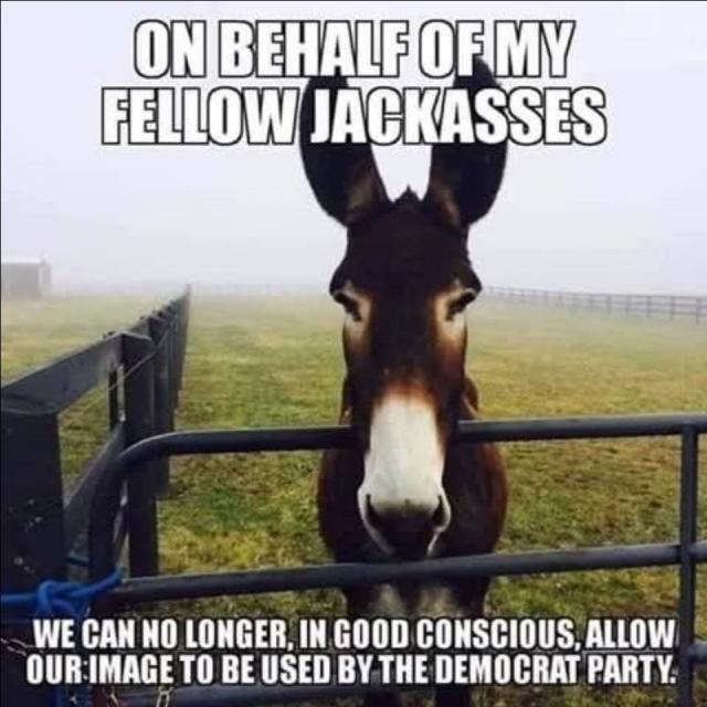 [Linked Image]