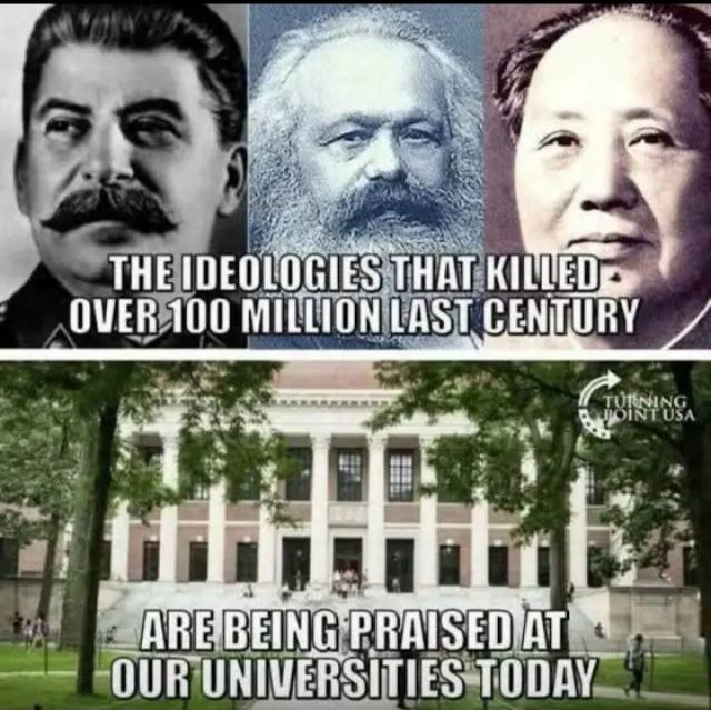[Linked Image]