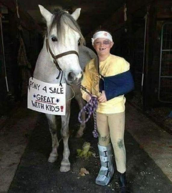 [Linked Image]