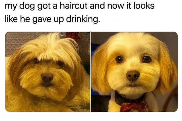 [Linked Image]