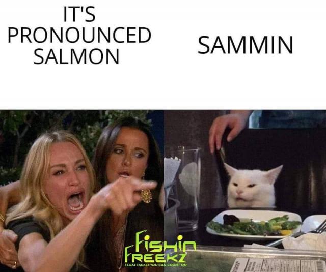 [Linked Image]