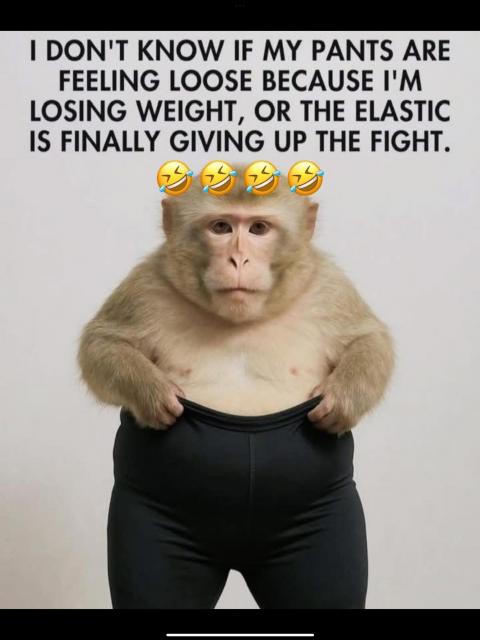 [Linked Image]