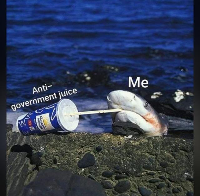 [Linked Image]